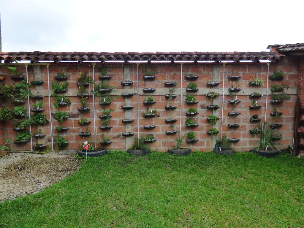 Hotel Kantarrana Urbana Jardín Rum bild